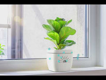 Load and play video in Gallery viewer, kek