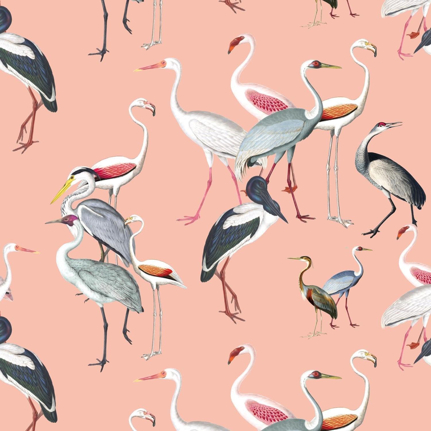 Ornithology | Made-to-Measure Wallpaper - golddev1