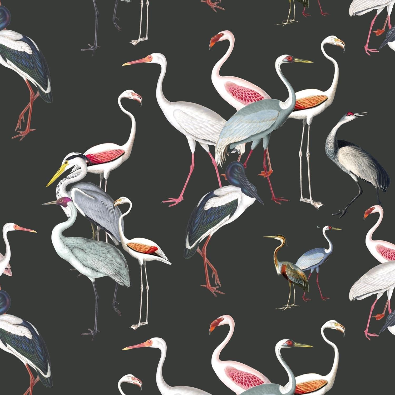 Ornithology | Made-to-Measure Wallpaper - golddev1