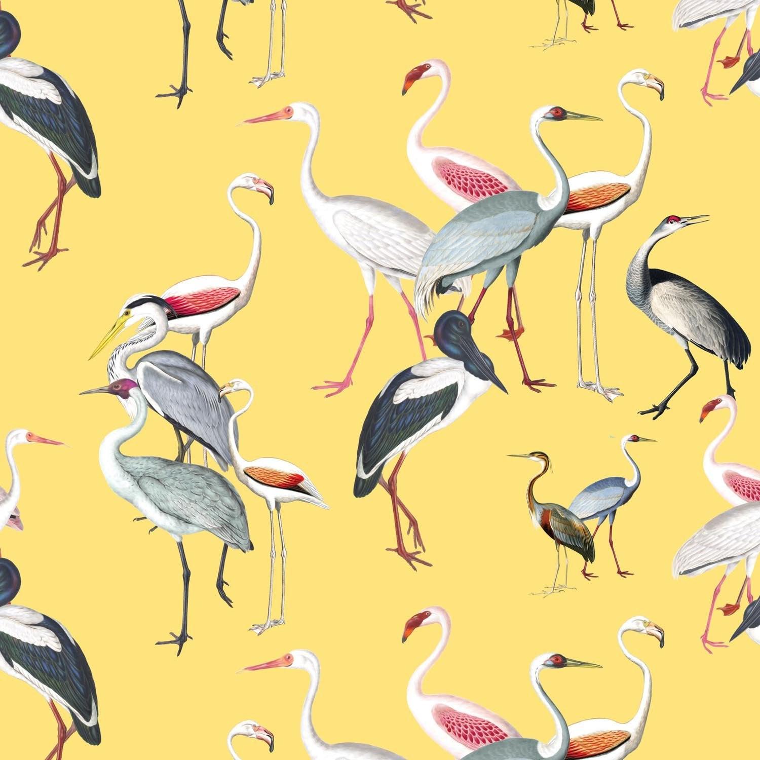 Ornithology | Made-to-Measure Wallpaper - golddev1