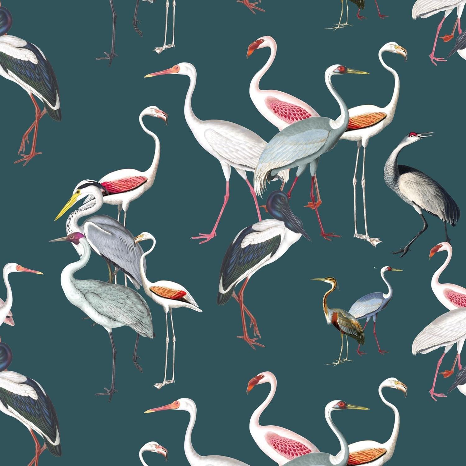 Ornithology | Made-to-Measure Wallpaper - golddev1