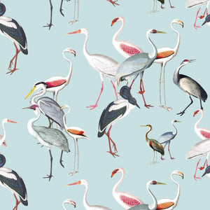 Ornithology | Made-to-Measure Wallpaper - golddev1