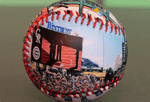 Load image into Gallery viewer, Build Your Own 4-Pack! + 4 Free Mini-Bat Displays - golddev1
